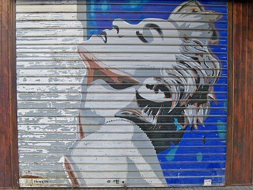 Mural de José Luis BorgArt (Tenis Graffiti) en la persiana de cierre de Ana Pino Salon Vegan, peluquería y salón de belleza de Ana Pino, en el número 22 de la calle Emilio Prados, Málaga, España. El mural presenta un retrato de perfil de Madonna.<a rel="nofollow" class="external autonumber" href="https://www.behance.net/gallery/145565917/Peluqueria-Ana-Pino">[1]</a>