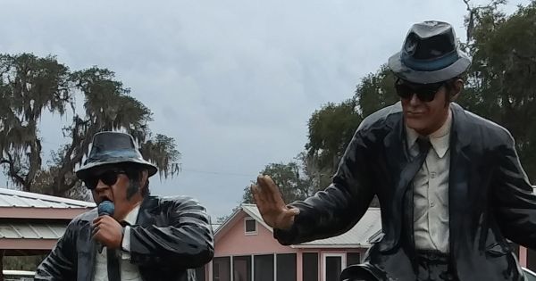 Image in QuizMyDay Blues Brothers Soundtrack Quiz: Play Trivia trivia quiz featuring Statues of Jake and Elwood Blues (the Blues Brothers) outside the Two Rivers Inn in Dunnellon, Florida.