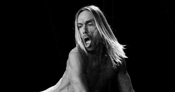 Image in QuizMyDay Iggy Pop Quiz: Are You a Punk Rock Scholar? trivia quiz featuring <div class="description">
500px provided description: Iggy Pop [#show ,#rock ,#concert ,#music ,#live ,#performance ,#stage ,#gig ,#band ,#musician ,#singer ,#live music ,#the stooges ,#Iggy Pop]</div>