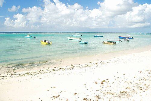 BB Barbados 1010 (1)